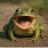WideMouthFrog
